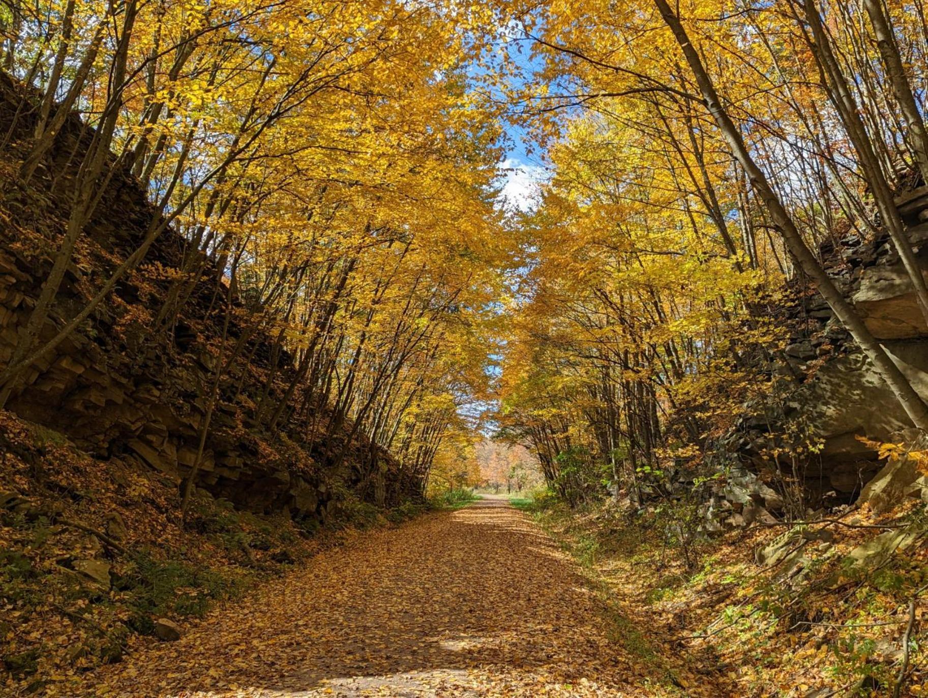 Farmington Stay In Ohiopyle Near Everything Including The Trail, Ohiopyle Pa מראה חיצוני תמונה